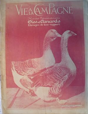 Vie à la Campagne numéro exceptionnel du 15 02 1922 Oies et Canards Elevages de bon rapport