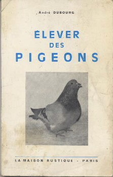 Elever des pigeons