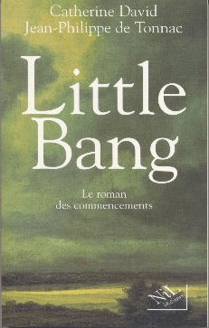 Little Bang le roman des commencements