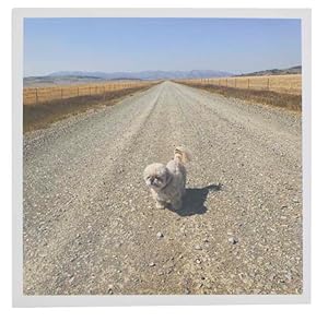 Annabelle, Melville, Montana August 29, 2020 (Signed Photograph)