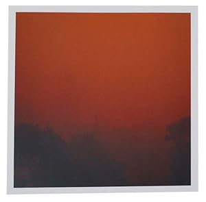 View form My Front Porch (Telephone Pole) 8:12 a.m September 9, 2020 (Signed Photograph)
