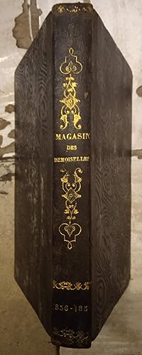Magasin des demoiselles, tome treizième (1856-1857)