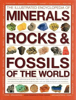 The Illustrated Encyclopedia of Minerals Rocks & Fossils of the World