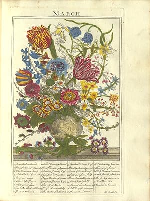 The Flower-Garden Display'd in Above Four Hundred Curious Representations of the Most Beautiful F...