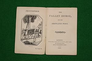 The fallen horse and the Shetland pony