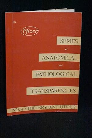 The Pregnant Uterus: The Pfizer Series of Anatomical and Pathological Transparencies: No. 4