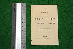 The history of a little boy found under an haycock. Founded on facts