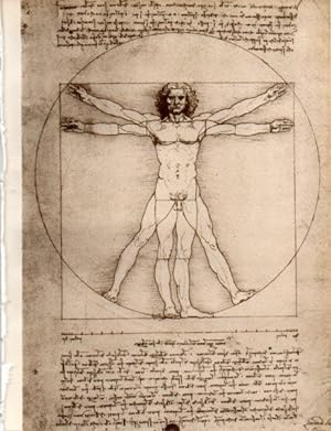 LAMINA V18978: El hombre de Vitruvio por Leonardo da Vinci