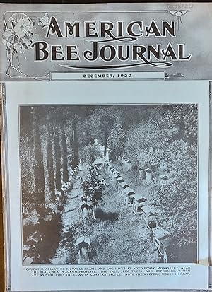 American Bee Journal December 1920