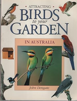 Attracting Birds to Your Garden in Australia