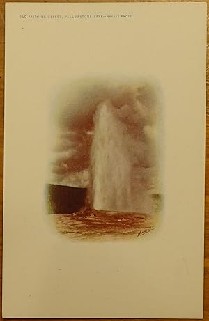 Old Faithful Geyser - Yellowstone Park, WY