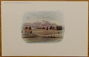 Electric Peak - Yellowstone Park, WY