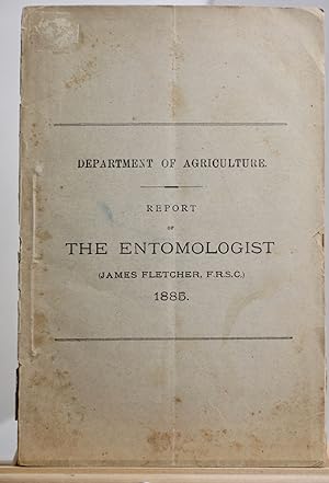 Report of the entomologist 1885