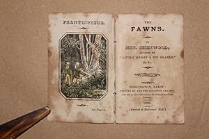 The Fawns