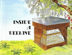 Inside a Beehive.