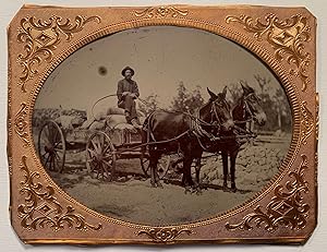 Framed Half Plate Tintype of a Man in a Horse Drawn Cart