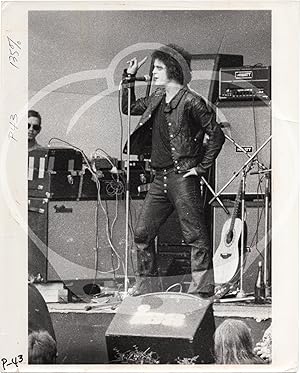 Original photograph of Lou Reed performing at the Crystal Palace Garden Party, London, 1973, by p...