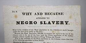 Why and Because Applied to Negro Slavery