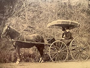 Quarter Plate Tintype Horse and Buggy Image