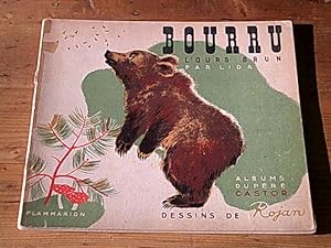 Bourru l'ours brun