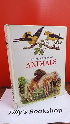 The Colour Book Of Animals