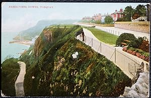 Torquay Postcard Babbacombe Vintage View