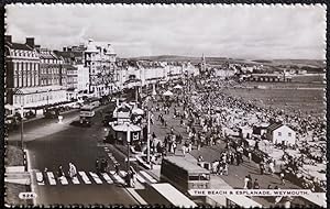 Weymouth Esplanade Buses Vintage Postcard