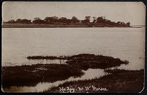 Mersea Island Antique Vintage 1916 Postcard