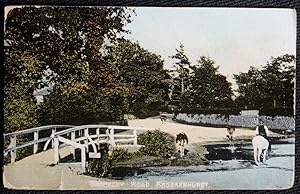 Brockenhurst Brookley Road 1910 Postcard