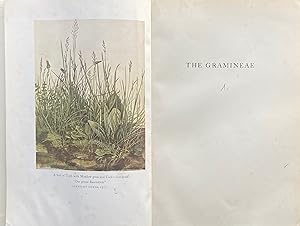 The Gramineae: a study of cereal, bamboo and grass