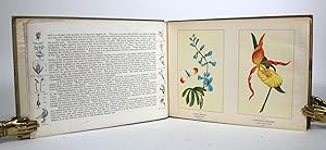 Wild Flowers of Canada, Published Exclusively with The Montreal Star, By Special Artists and Bota...