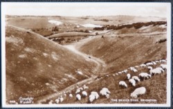 Devil's Dyke Locally Published Vintage Postcard