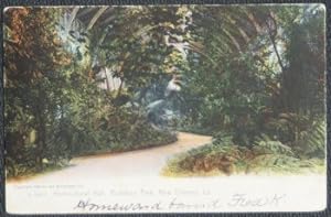 New Orleans Audubon Park Antique Vintage 1906 Postcard