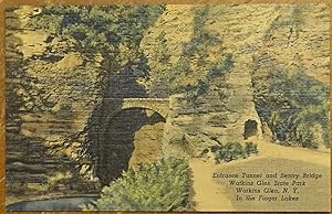 Entrance Tunnel and Sentry Bridge, Watkins Glen State Park, Watkins Glen, NY