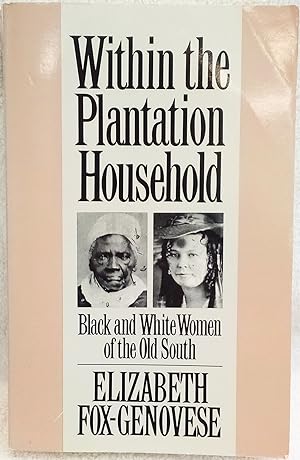 Within the Plantation Household: Black and White Women of the Old South