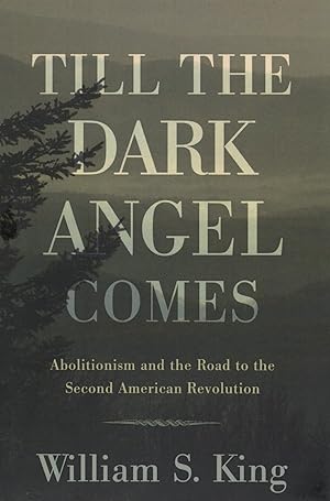Till the Dark Angel Comes: Abolitionism and the Road to the Second American Revolution