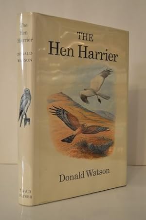 Hen Harrier