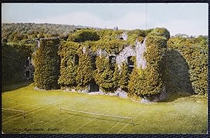 Beaumaris Castle Tennis Courts Postcard