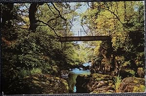 Llandrindod Wells Alpine Bridge Postcard