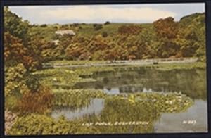 Bosherton Lily Pools Wales Postcard