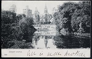 Cardiff Castle Antique 1903 Postcard