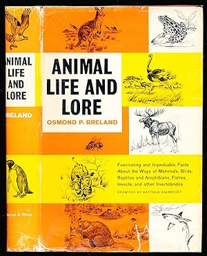 Animal Life and Lore
