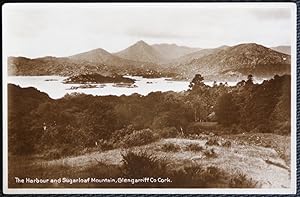 Glengarriff Sugarloaf Mountain Postcard