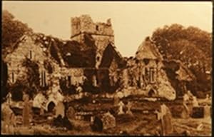 Killarney Muckross Abbey Ireland Postcard