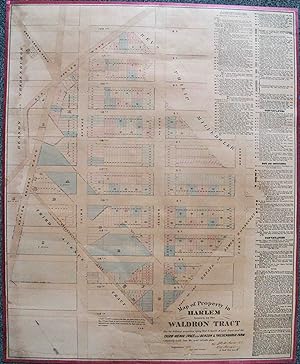 Map of Property in Harlem known as the Waldron Tract, Also the Different Properties Lying West & ...