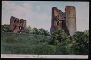 Hadleigh Castle Vintage Essex 1904 Postcard