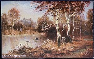 Epping Forest Vintage Essex Postcard
