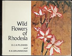 Wild Flowers of Zimbabwe