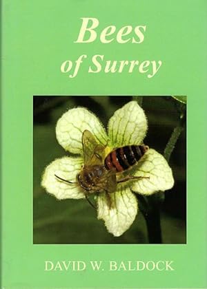 Bees of Surrey.