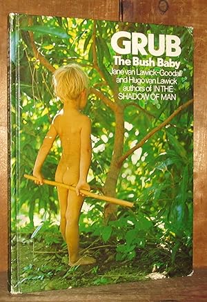 Grub The Bush Baby